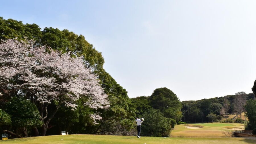 Wakamatsu GC