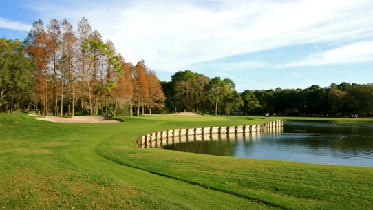 Innisbrook Resort - Copperhead Course - 13th