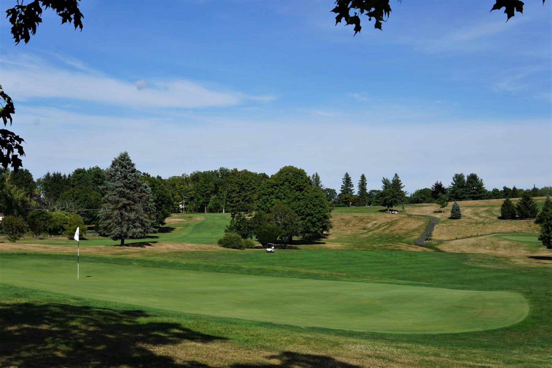 The finishing hole, seen here from behind its green, is a beauty. (Photo submitted by AptlyLinked on 08/22/2022)
