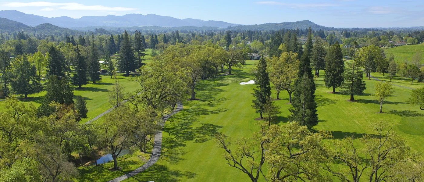 Silverado North #16 Aerial-compressed.png
