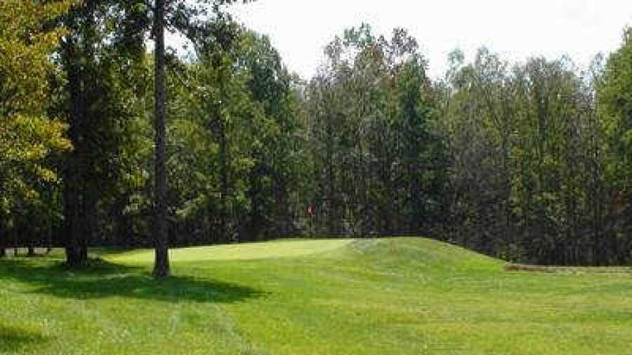 River Run GC: #11