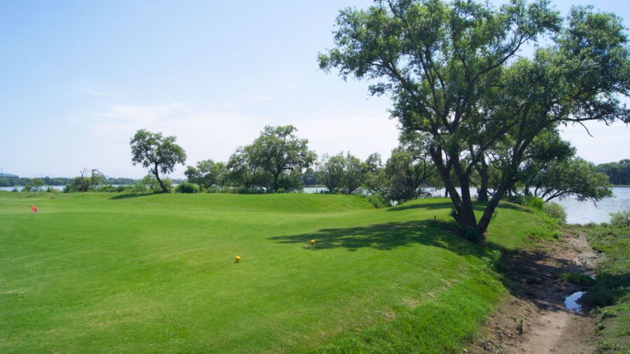 Miyaki Links Aishito GC: #8