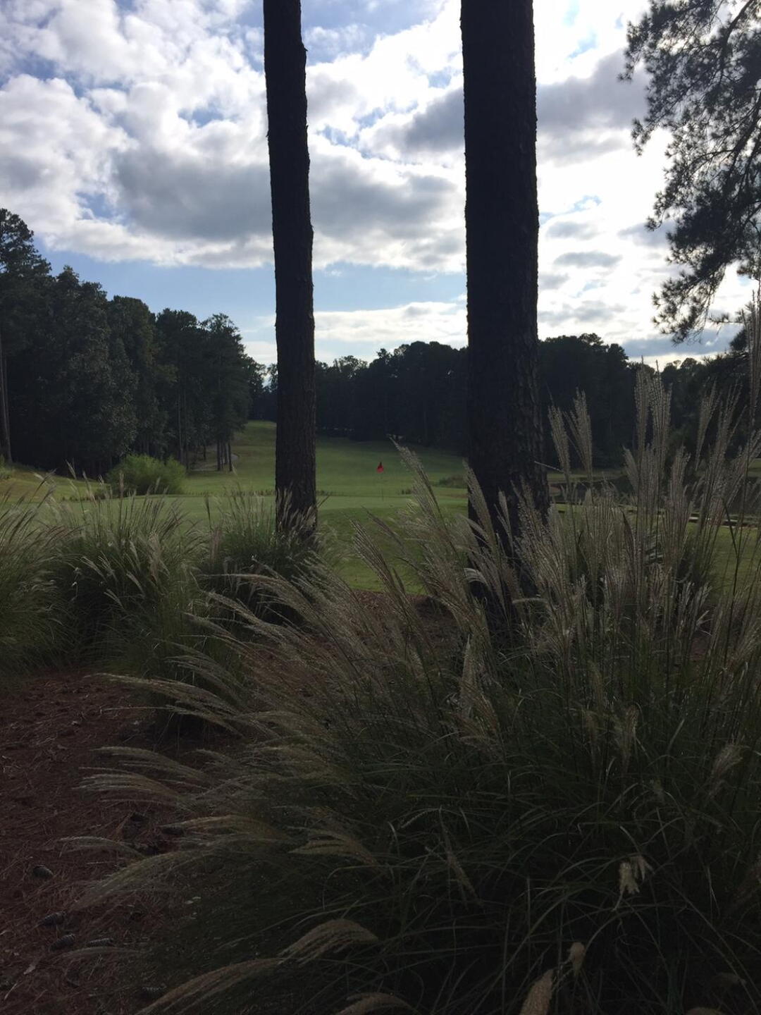 (Photo submitted by u415609781 on 09/30/2020)
