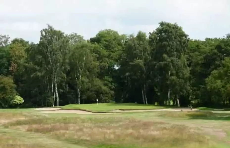 12th green over the rough