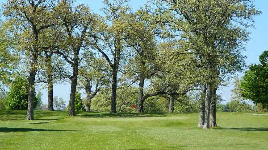 Oak Springs GC