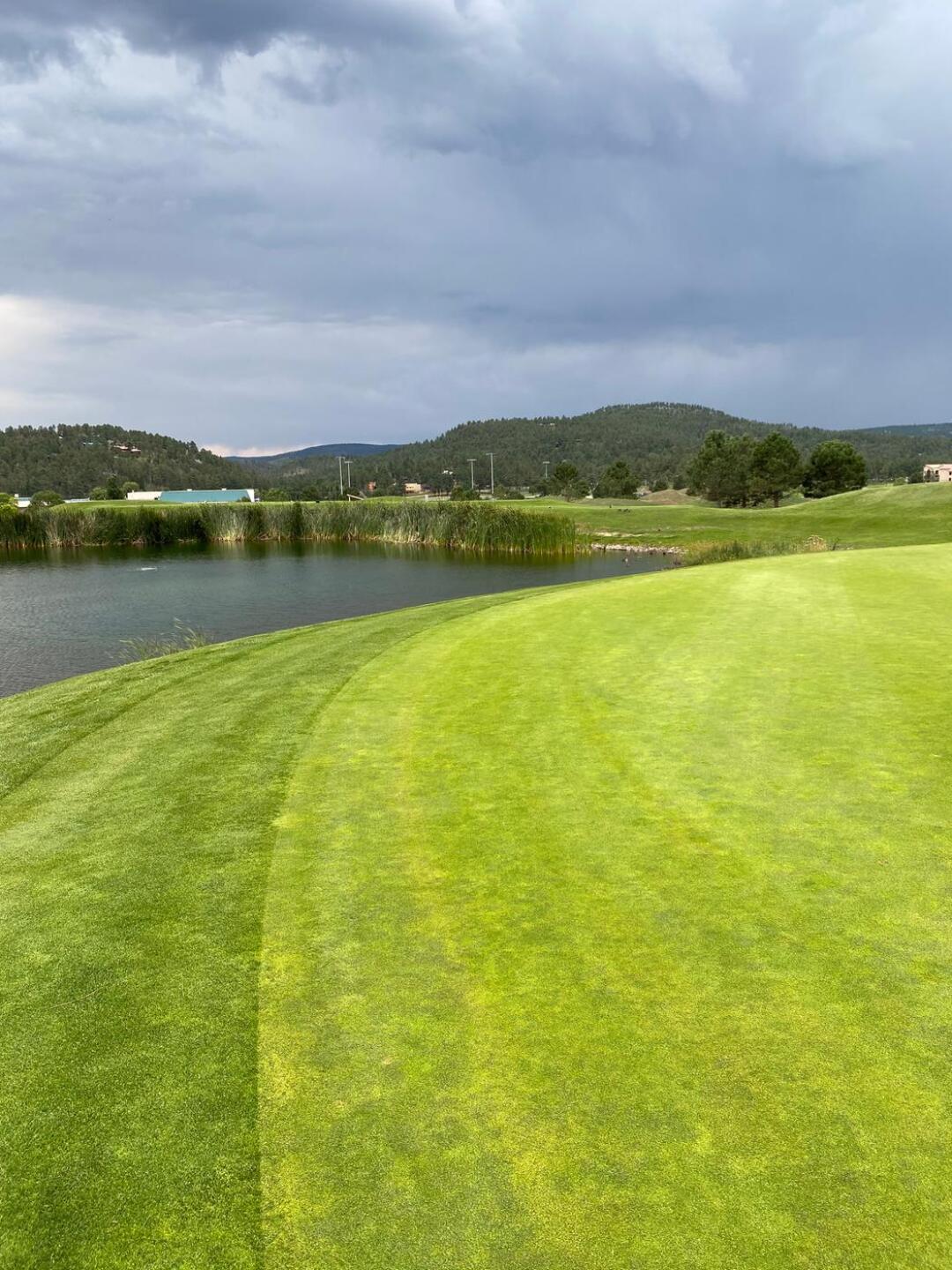 (Photo submitted by u314160553245 on 08/06/2020)