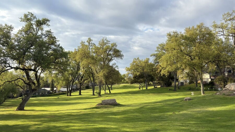 Goldside GC