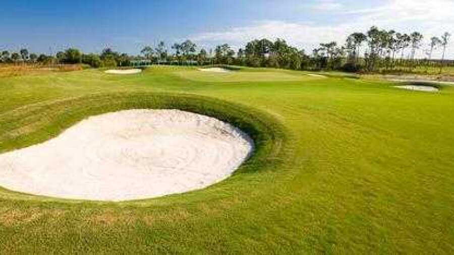 Ibis at Pelican Preserve GC: #9