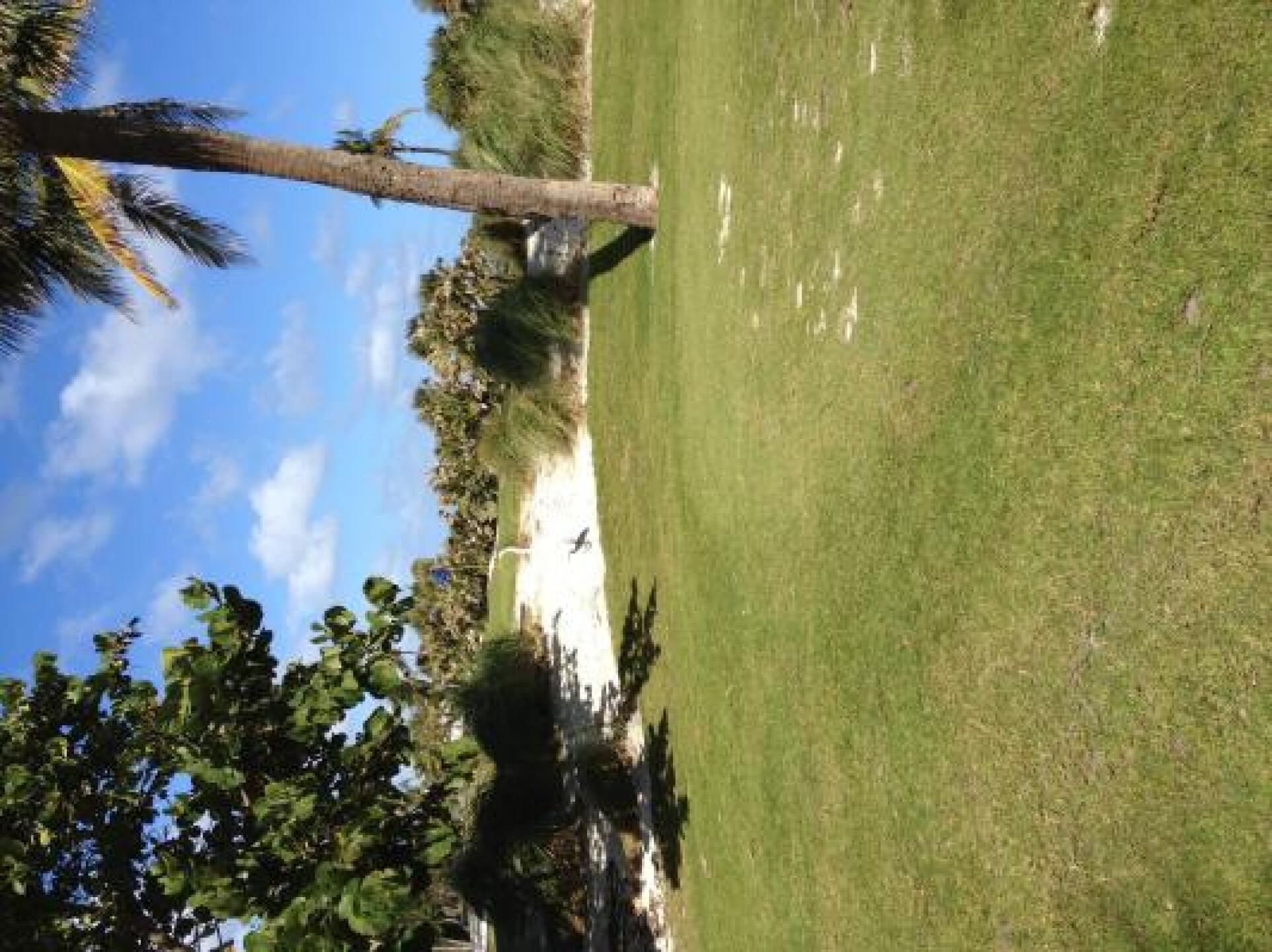 Par 3 (Photo submitted by pjgolfalot on 07/07/2013)