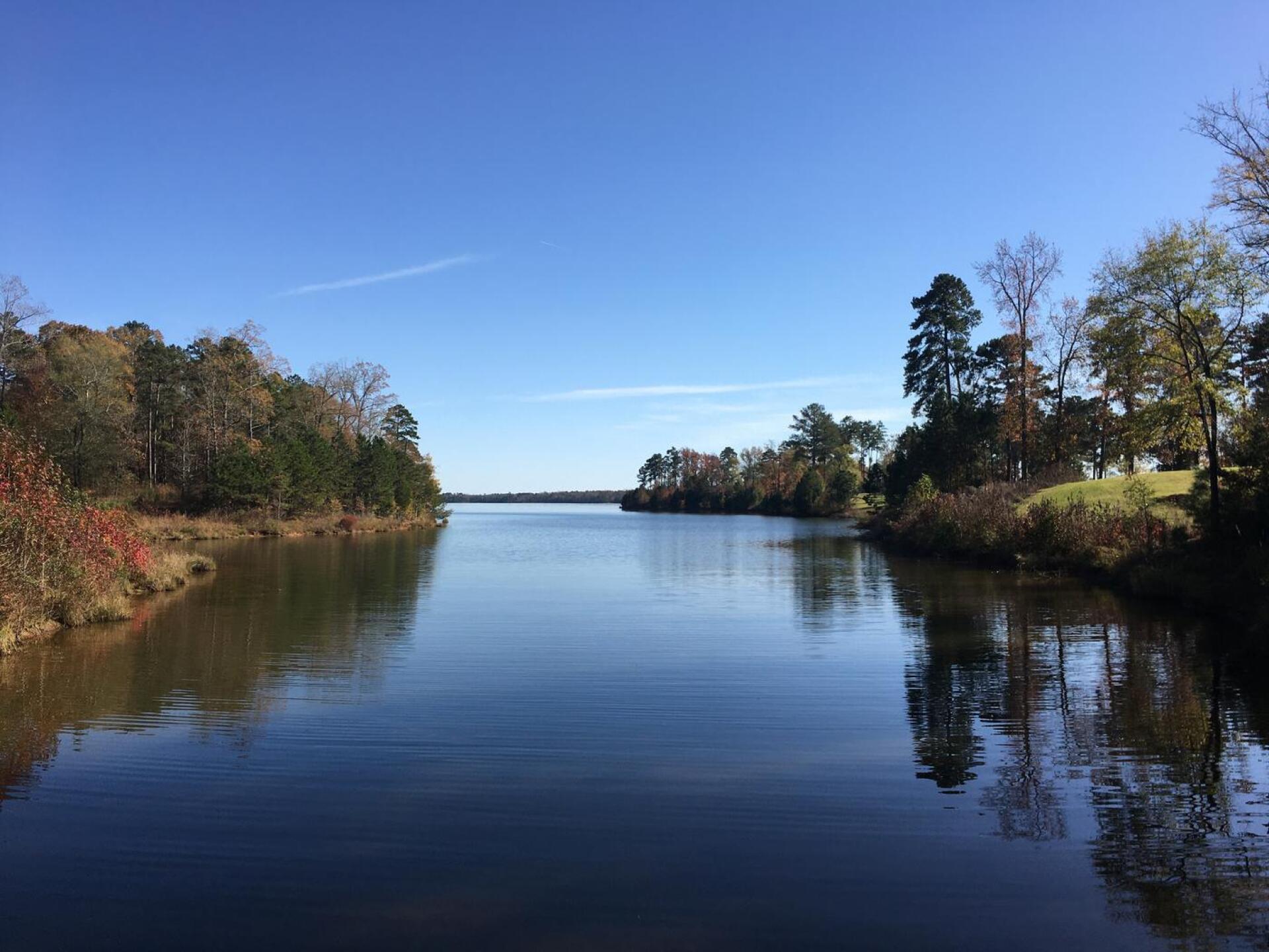 (Photo submitted by u7027738 on 11/29/2020)