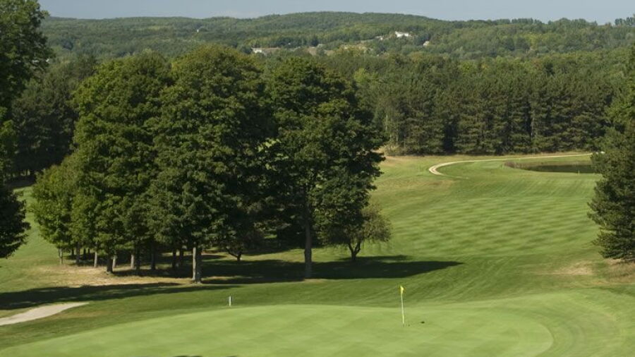 Pinecroft GP: #11