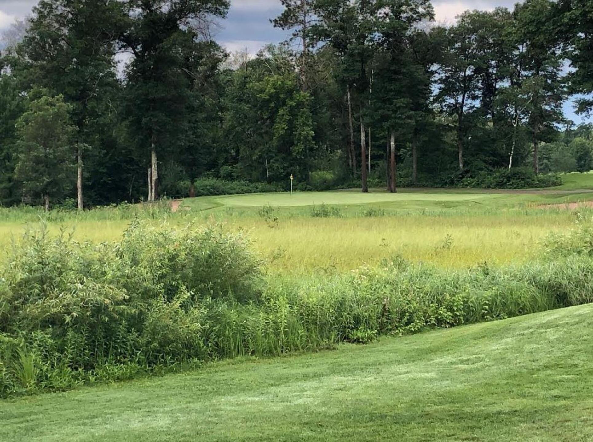 (Photo submitted by BryanTweed16 on 08/12/2019)