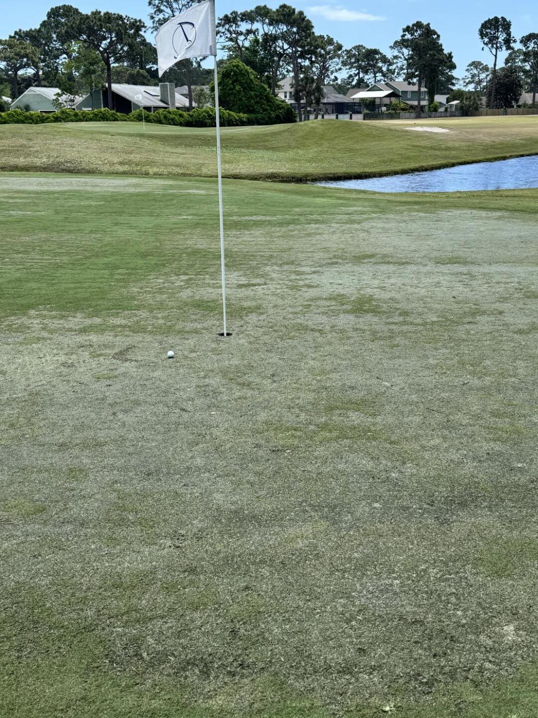 (Photo submitted by luisgnaranjo on 04/18/2026)