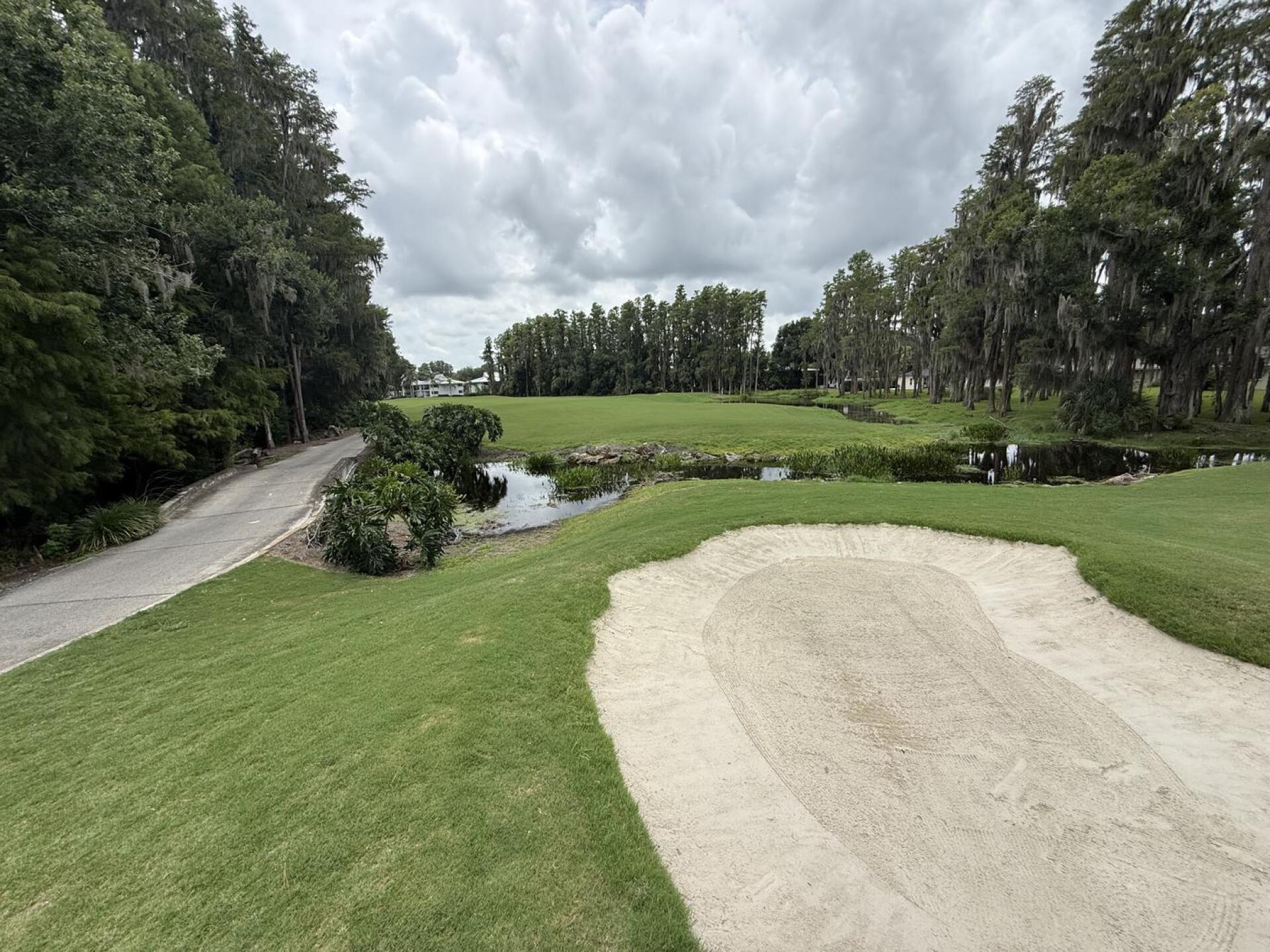 (Photo submitted by SkyTeamGolfer on 08/02/2026)
