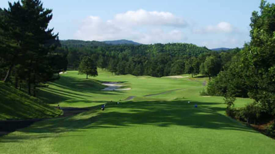 Gold Fukui CC: #10