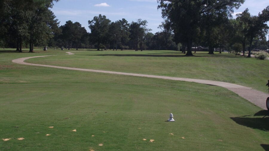Green Oaks GC: #11