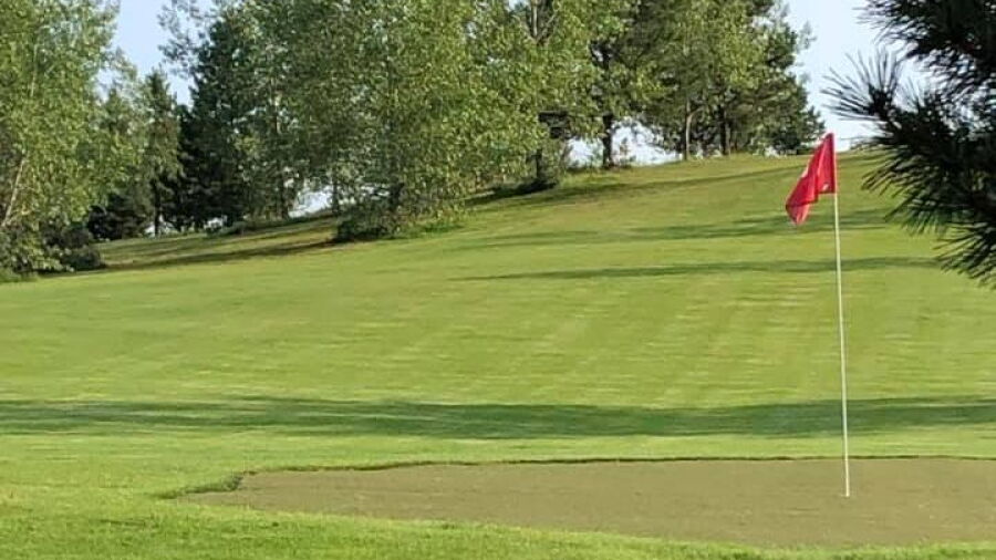 Mann Lake GC: #6