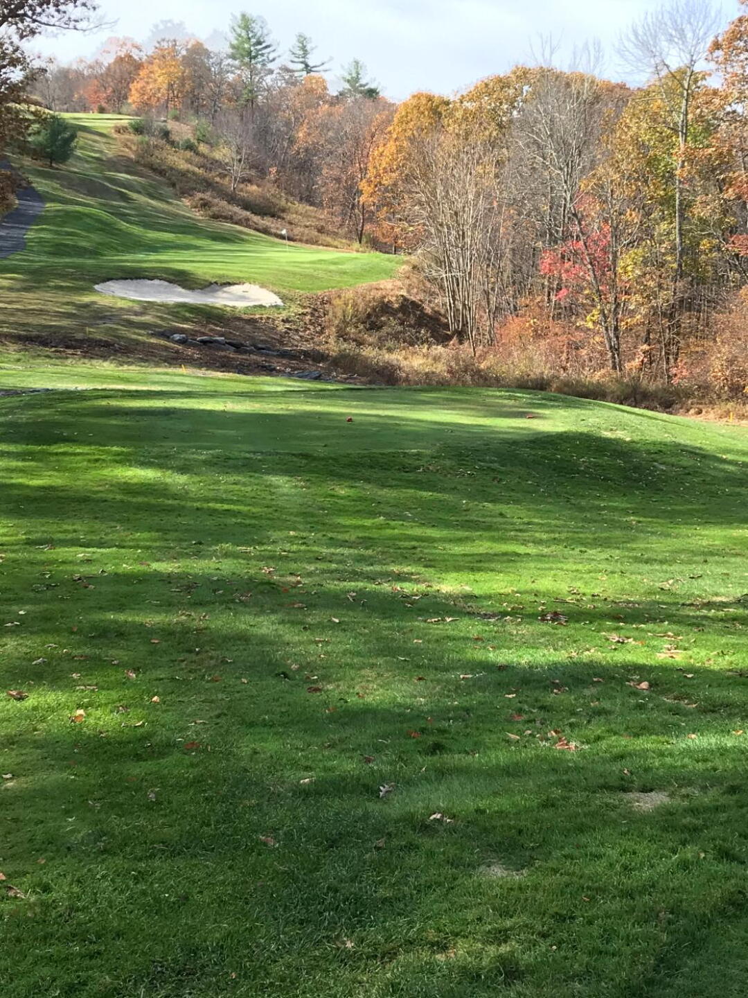 (Photo submitted by RG9EE337F7147BCB72DE on 10/27/2019)