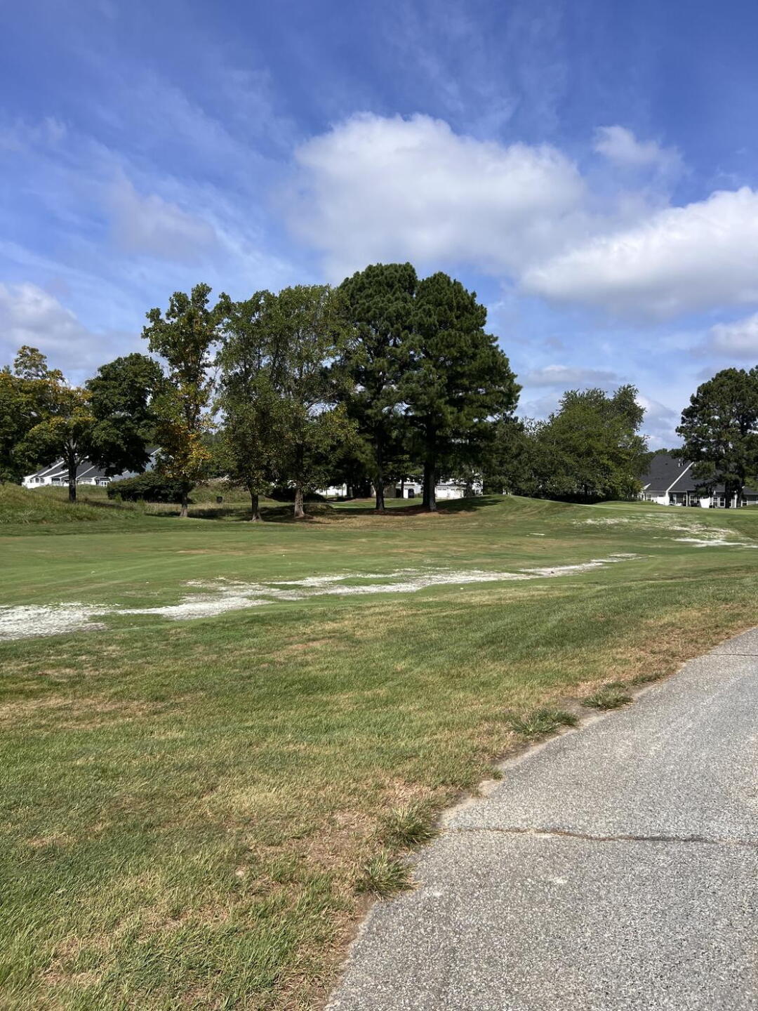 Burnt out fairways (Photo submitted by Rolly64 on 08/14/2025)