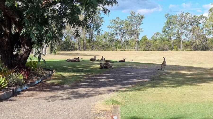 Rosewood GC
