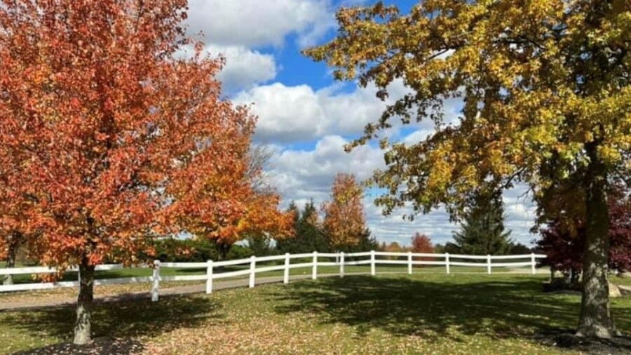 Oak Tree GC