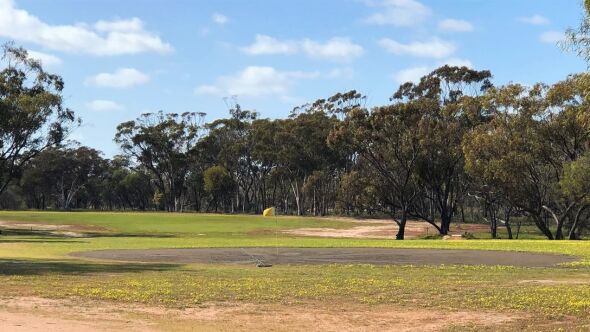 Kweda GC: #5