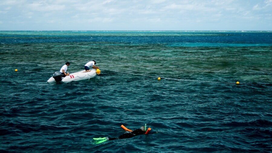 Great Barrier Reef