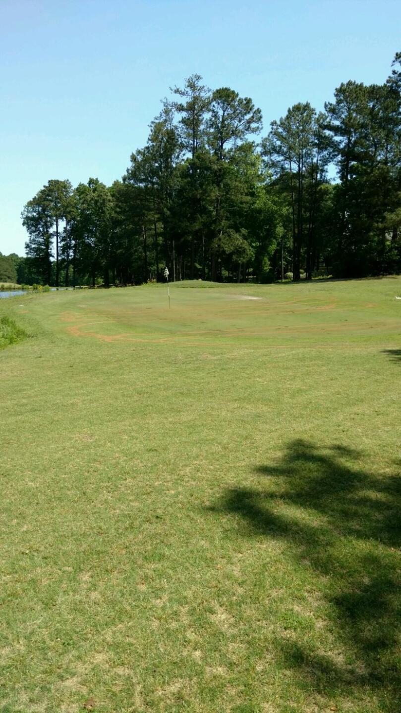 (Photo submitted by u732497235 on 05/08/2016)