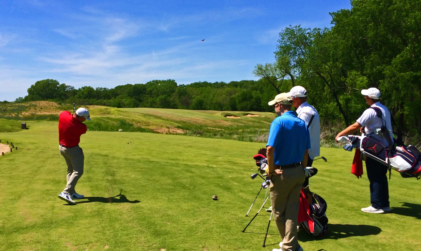 Trinity Forest - no. 17