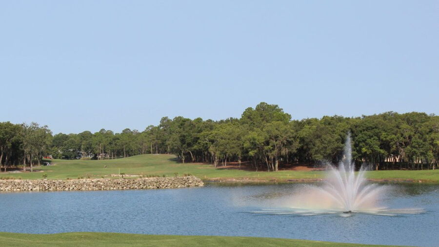 Timber Pines
