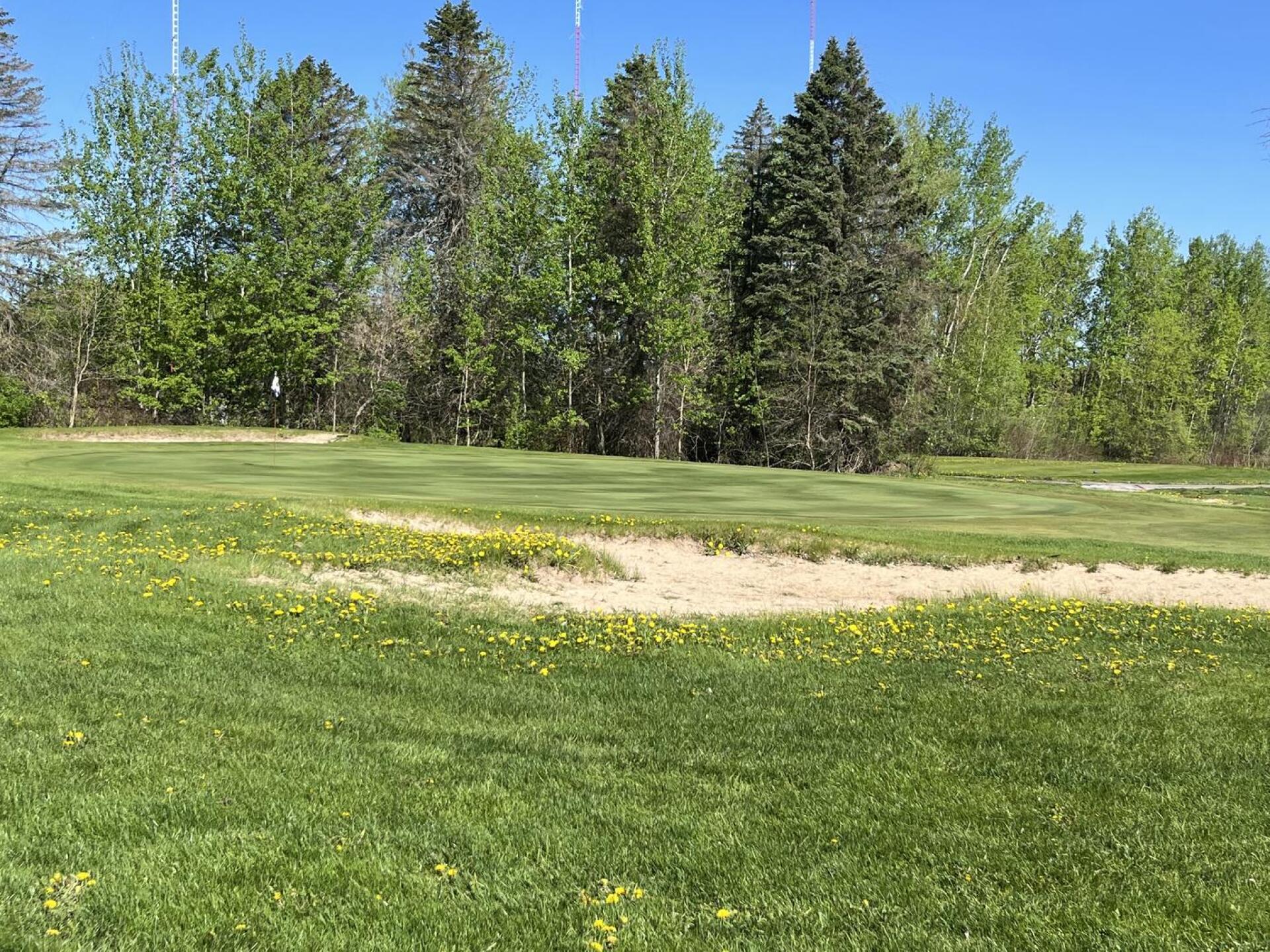 Green side rough (Photo submitted by u314159424023 on 05/15/2023)