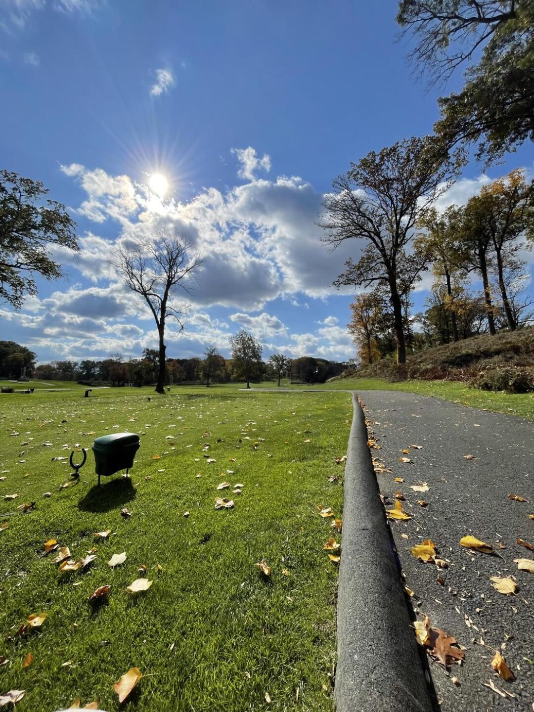 (Photo submitted by ewparker2 on 11/12/2023)