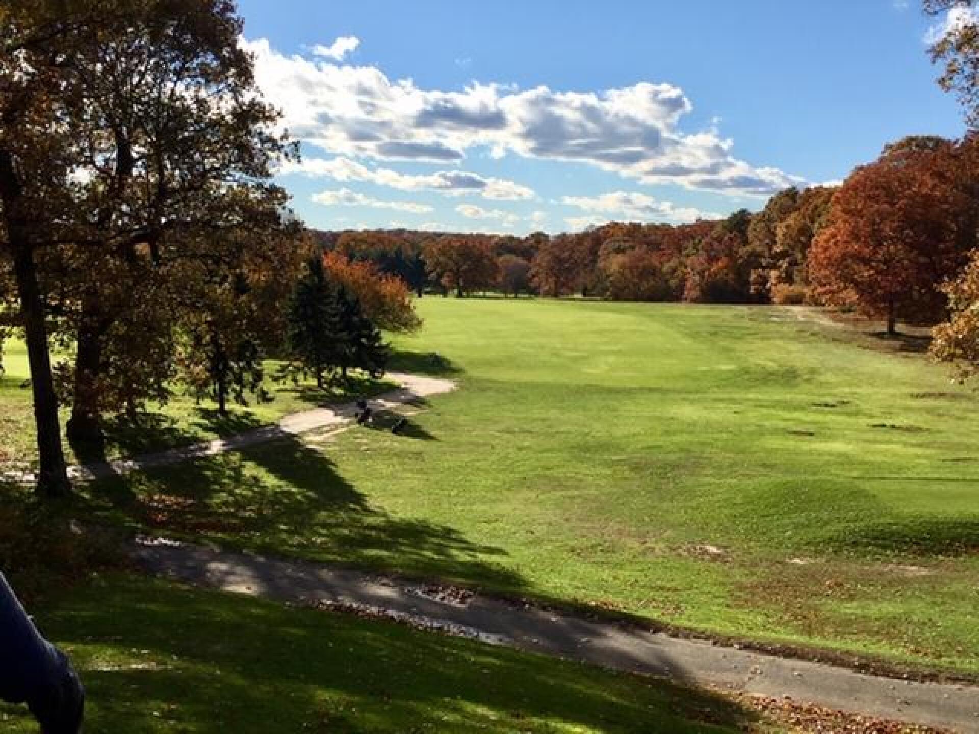 (Photo submitted by LICC on 11/03/2018)