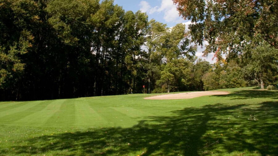 Blue at Ramblewood CC: #4