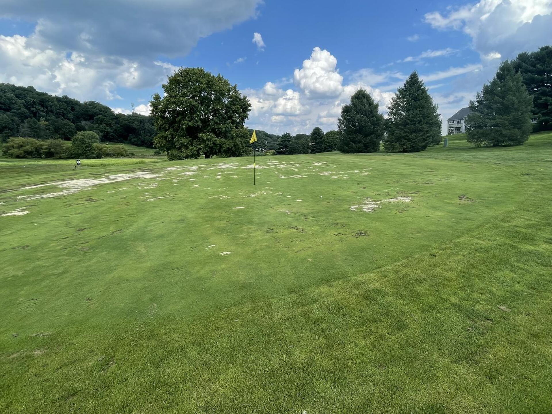 Would you call this a green? I don’t. (Photo submitted by JohnyArms on 08/17/2023)