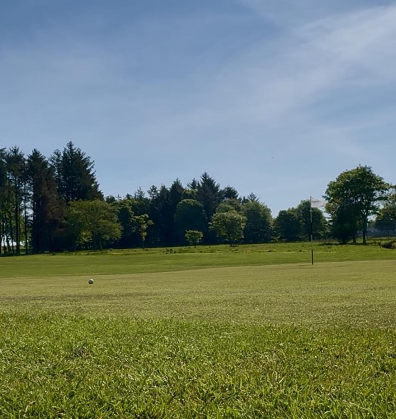 (Photo submitted by tKAx8yPHMpdKUlFdxQqX on 08/11/2025)