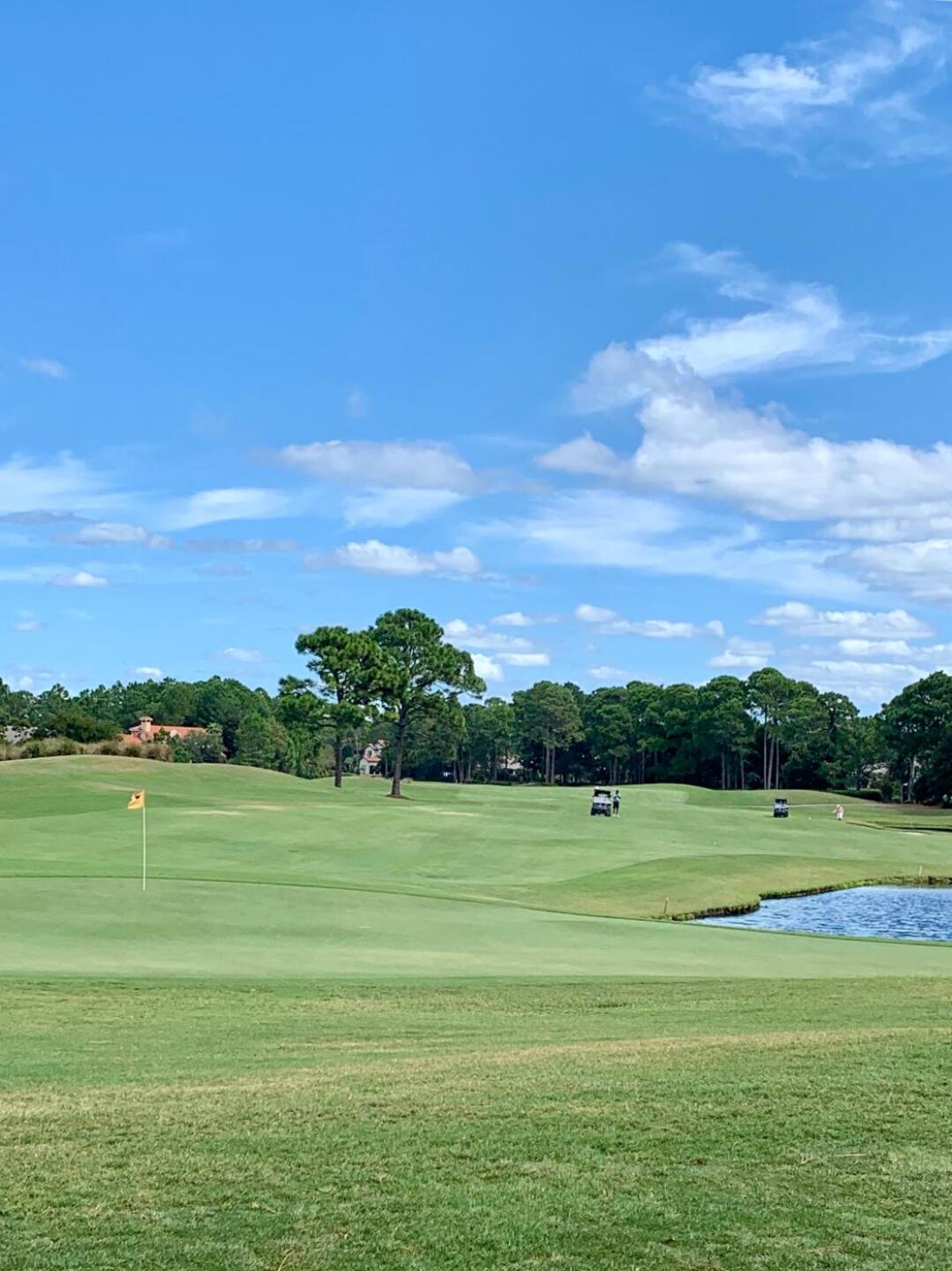 (Photo submitted by MichaelLowe on 09/20/2019)