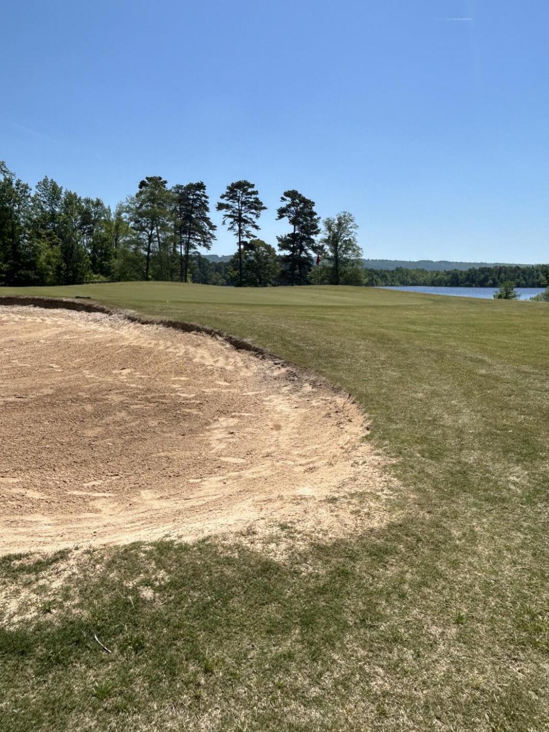 Greens #5 (Photo submitted by dohrenwend on 04/23/2024)