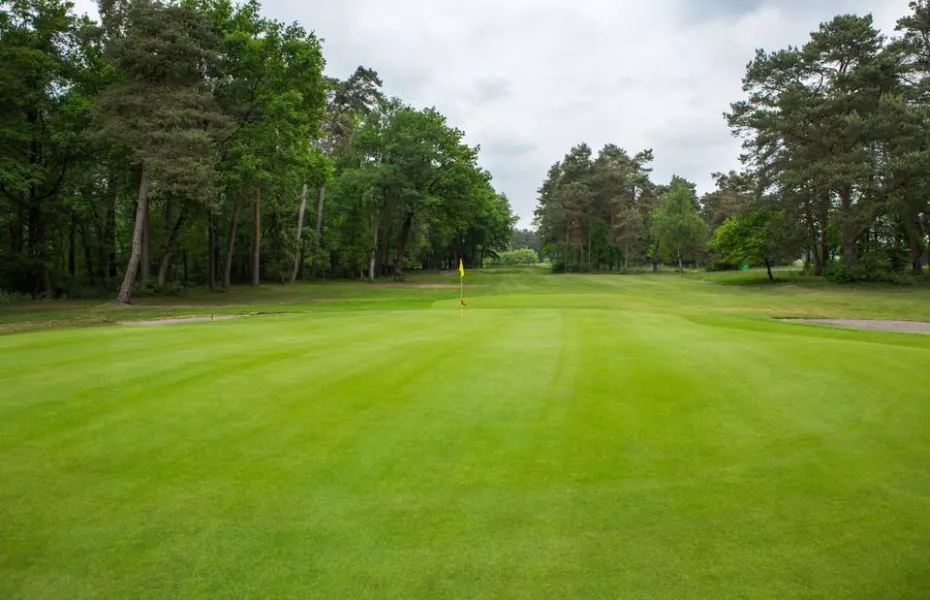 British Army GC Sennelager - Forest Pine: #17