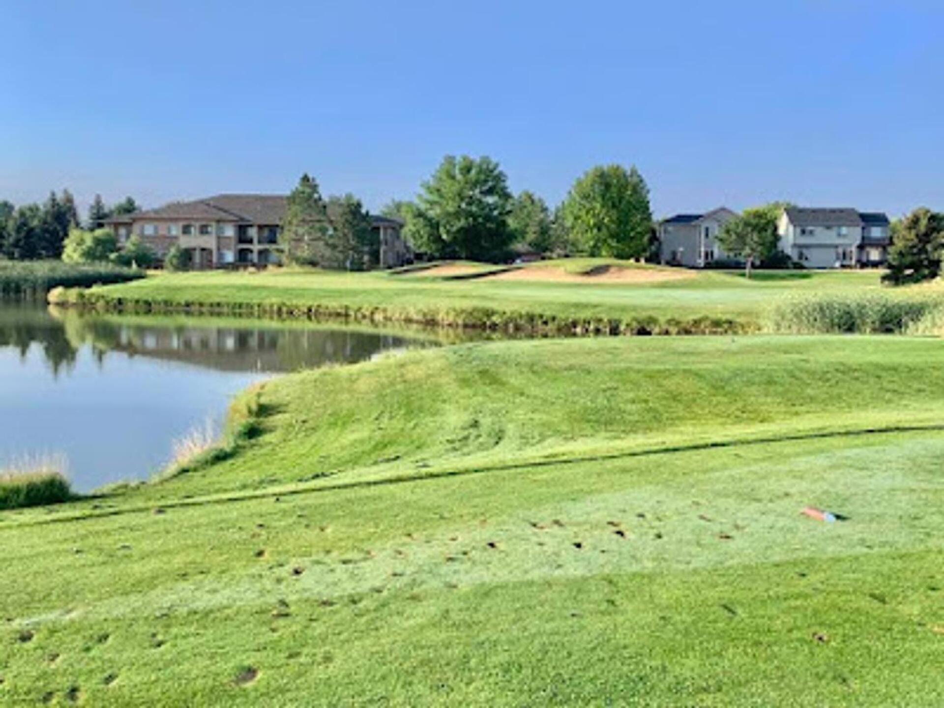 (Photo submitted by Mhuy24M4cUyGbkj98OI7 on 09/07/2021)