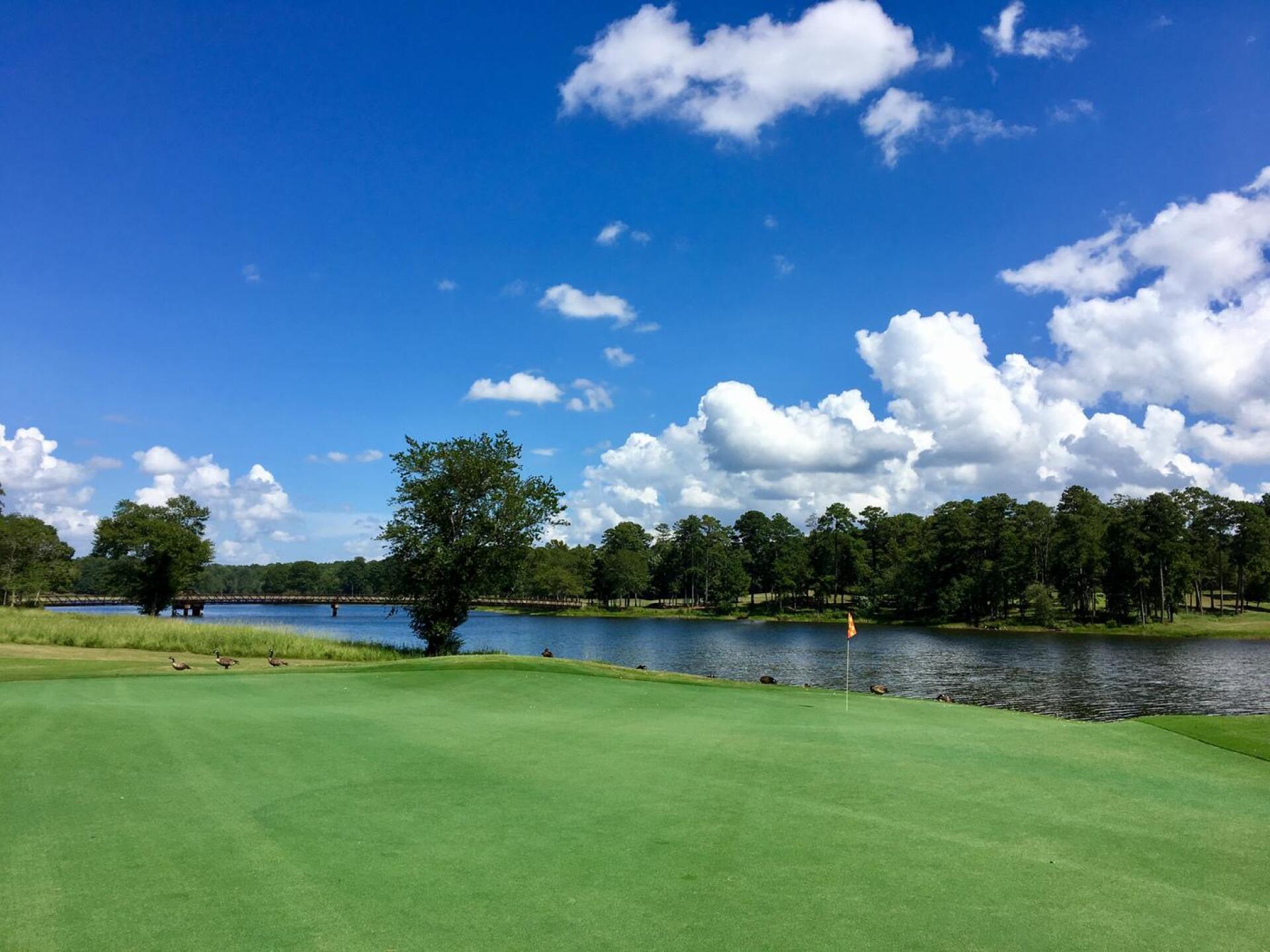 Par-3 17th hole, Lake Course (Photo submitted by BrandonWebb on 08/17/2017)