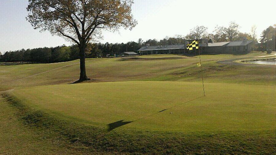 Thunderbird CC