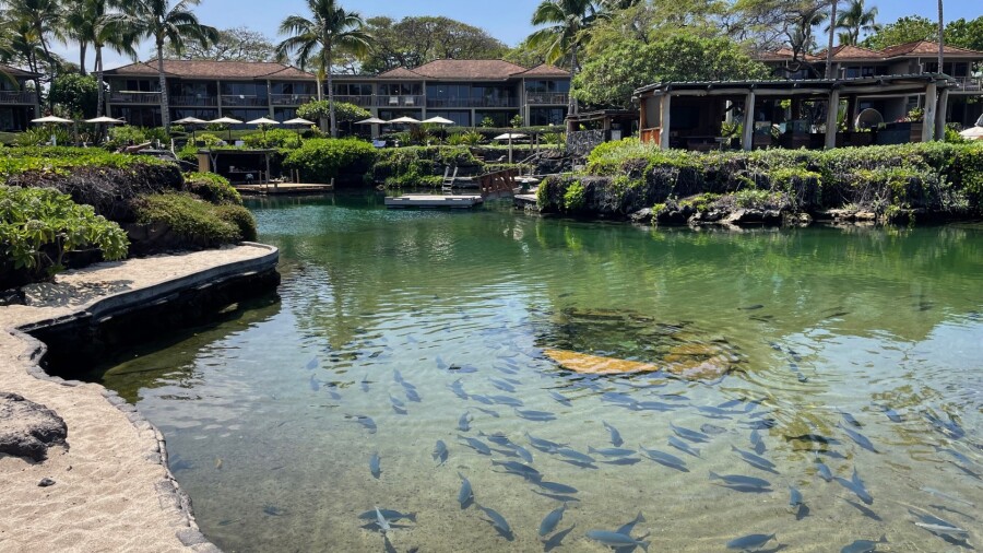 King’s Pond and Kumu Kai Marine Center - Four Seasons Resort Hualalai
