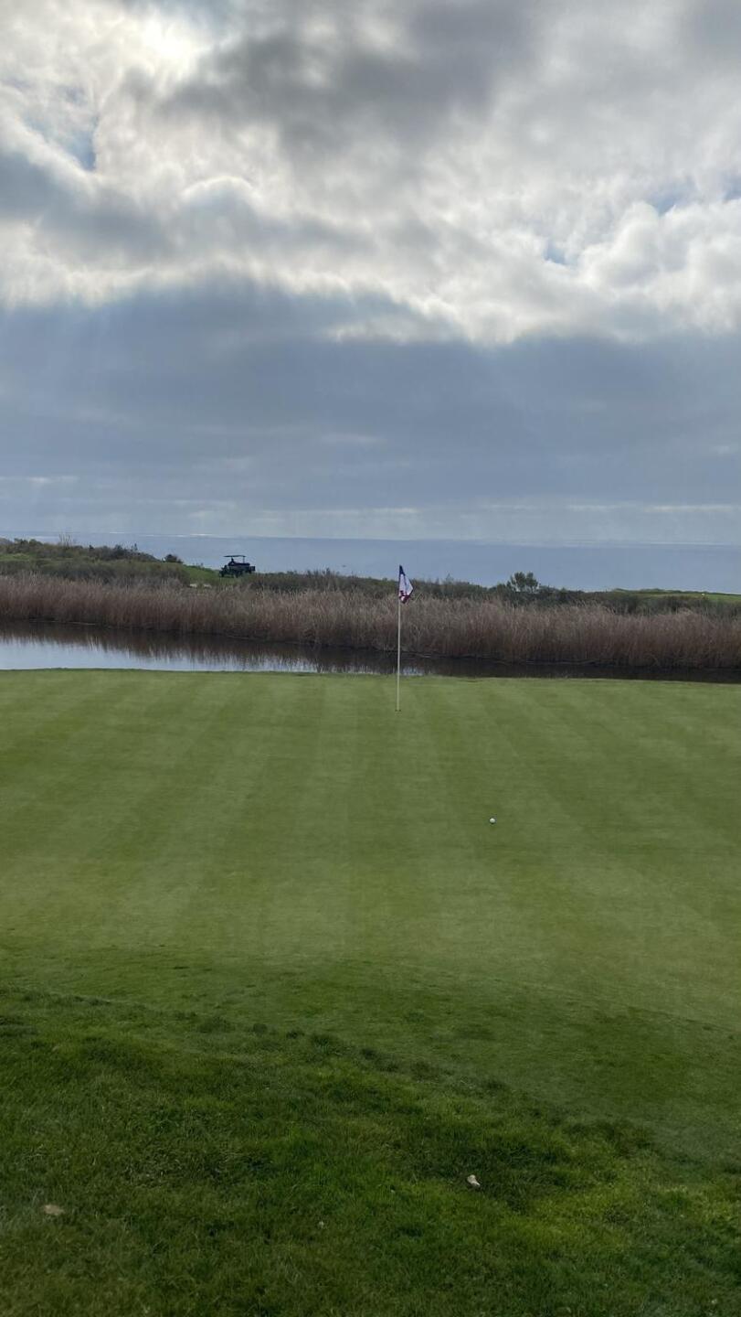 Close one (Photo submitted by Patschull on 02/08/2021)