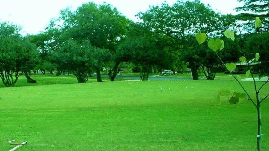 Windcrest GC: putting green