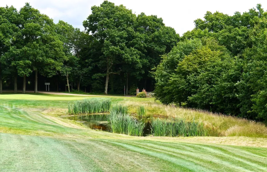 Slinfold GCC - Short