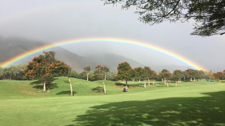 Kahili - rainbow