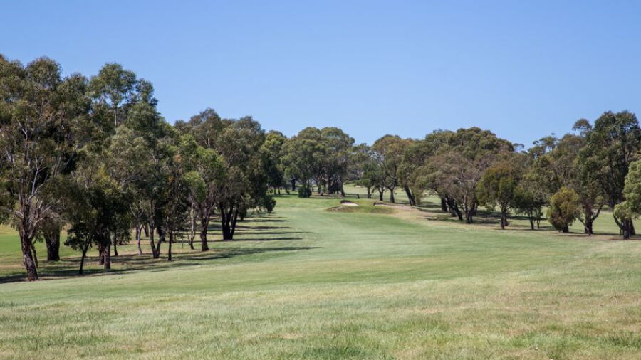Mount Martha Public GC: #7