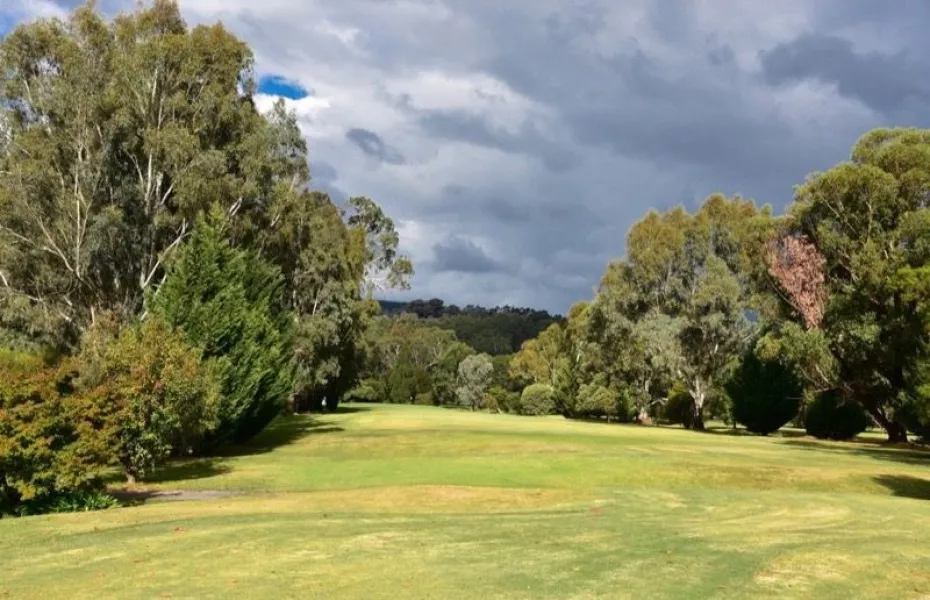 Myrtleford GC: #12