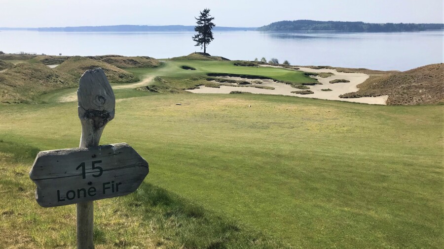 Chambers Bay - hole 15